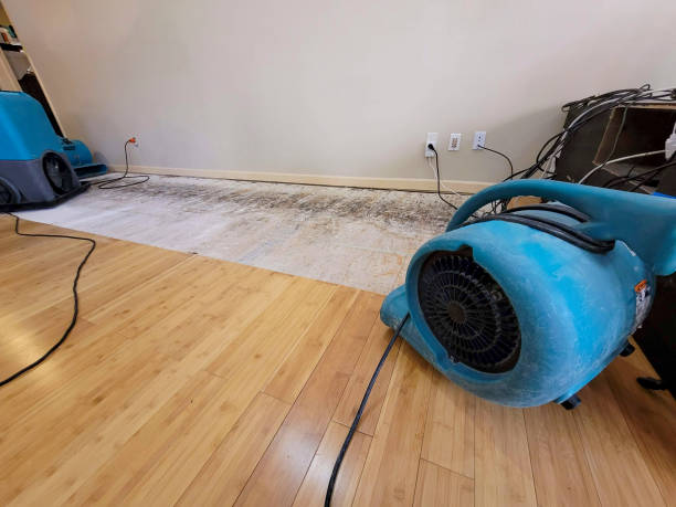 Professional Basement Flood Cleanup technician working in Hansford, WV